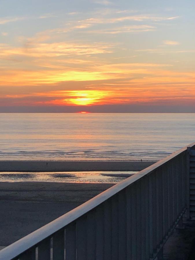 Sea-Senses Com/Blue Moon Appartement Koksijde Buitenkant foto